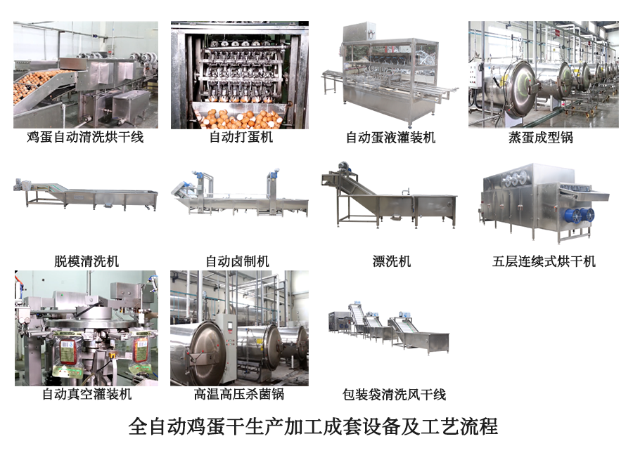 鸡蛋干生产加工成套设备