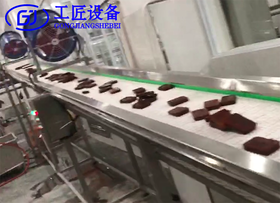 鸡蛋干风冷输送机